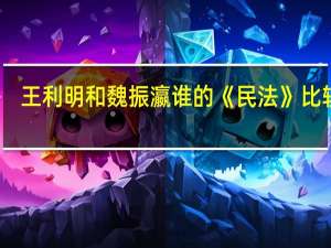 王利明和魏振瀛谁的《民法》比较好