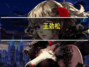 王劲松（关于王劲松的介绍）