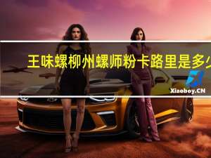 王味螺 柳州螺师粉卡路里是多少