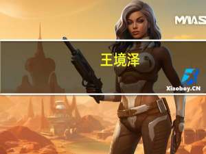 王境泽（关于王境泽的介绍）
