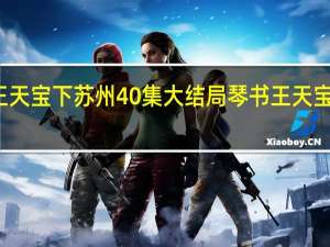 王天宝下苏州40集大结局 琴书王天宝下苏州