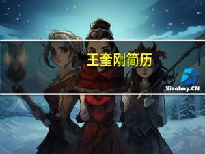 王奎刚简历（王奎明）