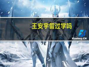 王安宇留过学吗