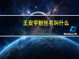 王安宇粉丝名叫什么