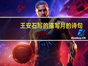 王安石写的描写月的诗句