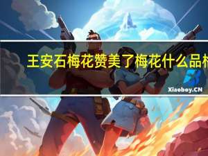 王安石梅花赞美了梅花什么品格