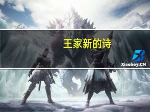 王家新的诗（王家新的资料）