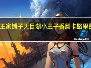 王家铺子 天目湖小王子香肠卡路里是多少