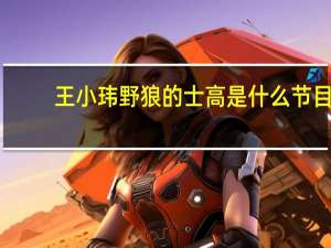 王小玮野狼的士高是什么节目