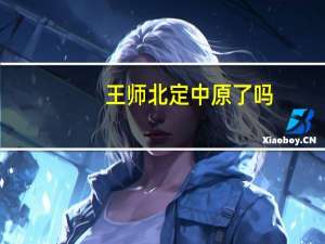 王师北定中原了吗