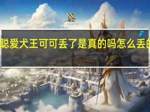 王思聪爱犬王可可丢了是真的吗 怎么丢的找到没有