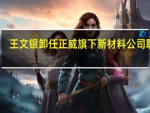 王文银卸任正威旗下新材料公司职务