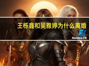 王栎鑫和吴雅婷为什么离婚（任艳晨光为什么离婚）