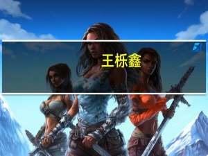 王栎鑫（关于王栎鑫的介绍）