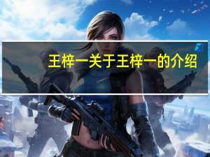 王梓一 关于王梓一的介绍