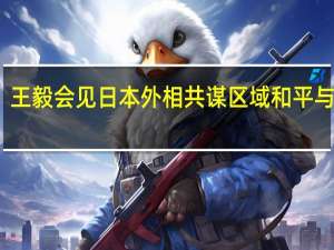 王毅会见日本外相 共谋区域和平与发展