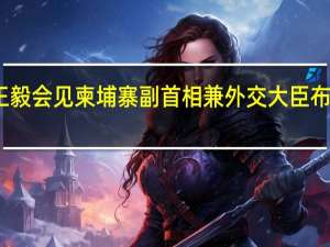 王毅会见柬埔寨副首相兼外交大臣布拉索昆