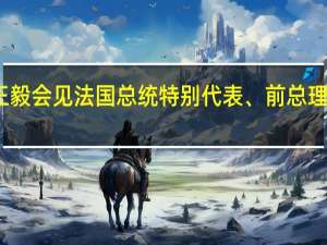 王毅会见法国总统特别代表、前总理拉法兰