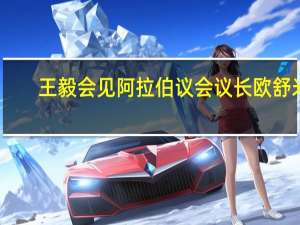 王毅会见阿拉伯议会议长欧舒米