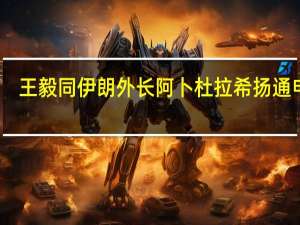 王毅同伊朗外长阿卜杜拉希扬通电话