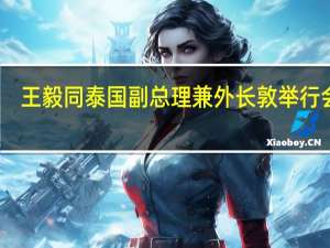 王毅同泰国副总理兼外长敦举行会谈