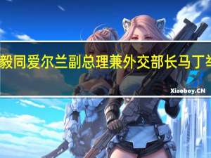王毅同爱尔兰副总理兼外交部长马丁举行会谈