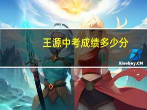 王源中考成绩多少分