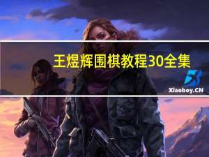 王煜辉围棋教程30全集（王煜辉）
