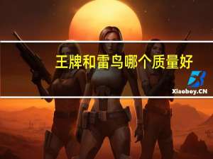 王牌和雷鸟哪个质量好