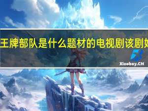 王牌部队是什么题材的电视剧 该剧好看吗　