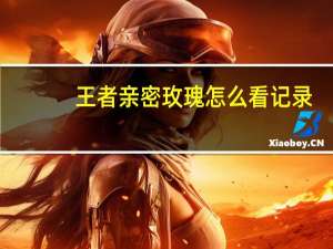王者亲密玫瑰怎么看记录