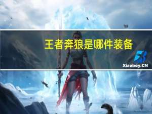 王者奔狼是哪件装备