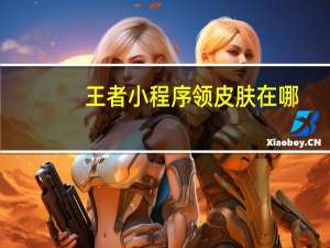 王者小程序领皮肤在哪