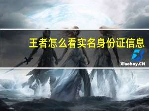王者怎么看实名身份证信息