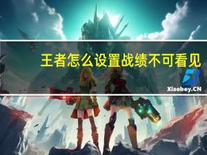 王者怎么设置战绩不可看见