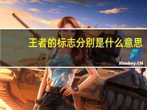 王者的标志分别是什么意思