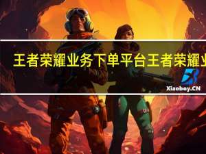 王者荣耀业务下单平台 王者荣耀业务(王者下单平台接单软件)
