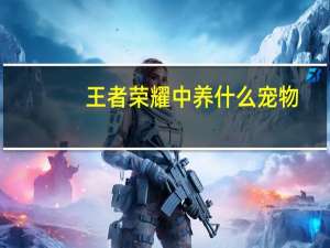 王者荣耀中养什么宠物