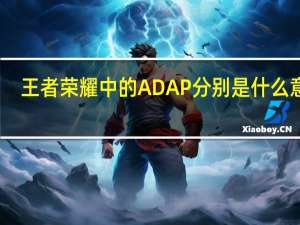 王者荣耀 中的AD AP分别是什么意思