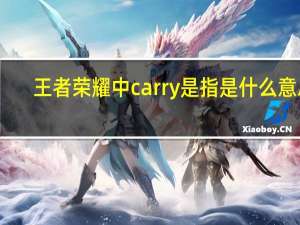 王者荣耀中carry是指是什么意思（王者荣耀中cd是指）