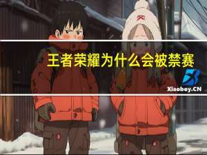 王者荣耀为什么会被禁赛