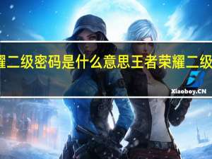王者荣耀二级密码是什么意思 王者荣耀二级密码怎么设置
