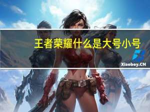 王者荣耀什么是大号小号