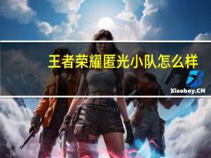 王者荣耀匿光小队怎么样-王者荣耀匿光小队背景介绍