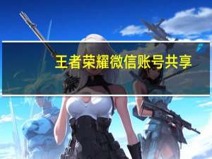 王者荣耀微信账号共享（王者荣耀微信账号转移）