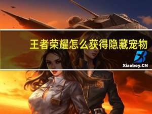 王者荣耀怎么获得隐藏宠物