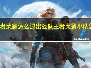 王者荣耀怎么退出战队 王者荣耀小队怎么退出