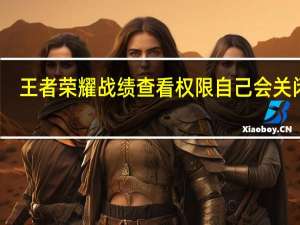 王者荣耀战绩查看权限自己会关闭吗（王者荣耀战绩查询系统）