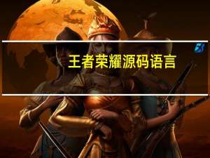 王者荣耀源码语言