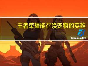 王者荣耀能召唤宠物的英雄